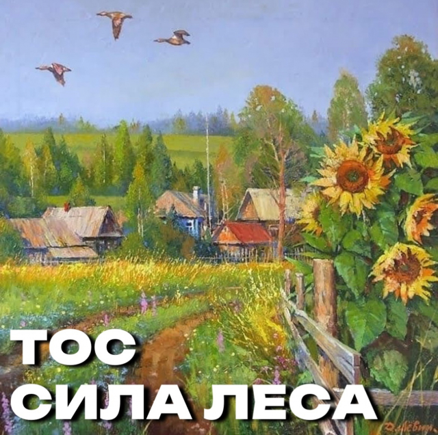 Сила леса!